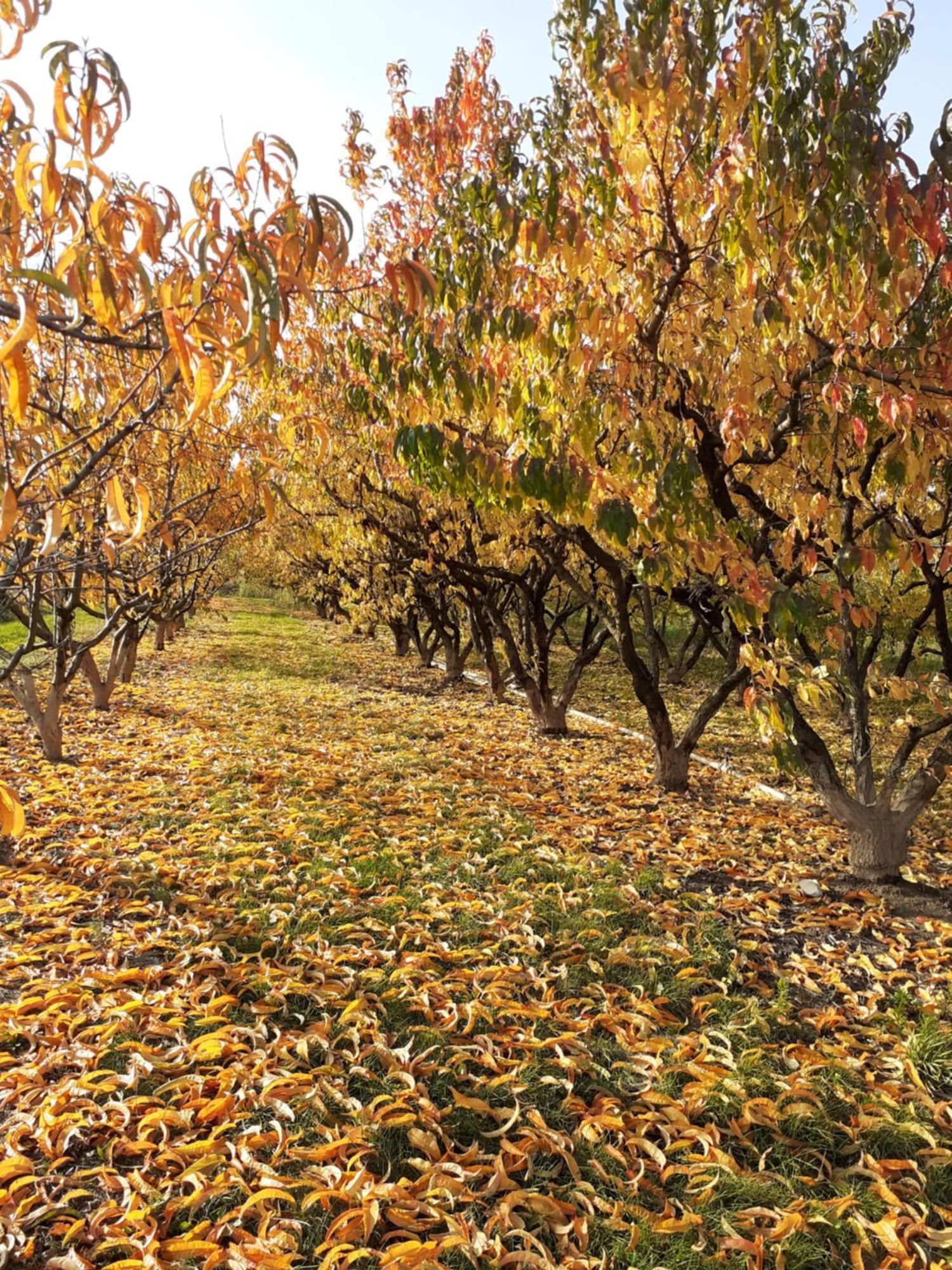 مبيت وإفطار إينغرسهايم Aux Pieds Des Vignes المظهر الخارجي الصورة